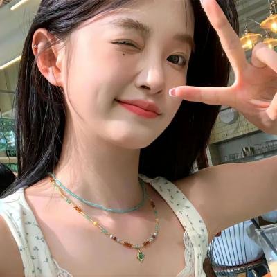 我的父亲甘地